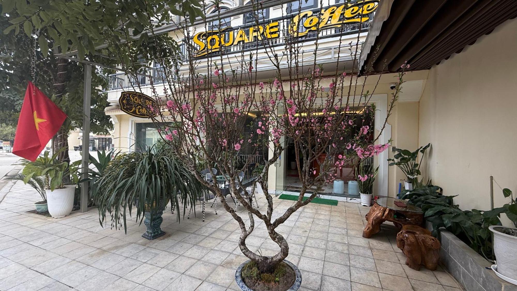 ها باك Square Homestay & Coffee المظهر الخارجي الصورة